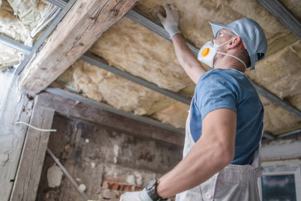 Types of Insulation We Offer in Keaau, HI
