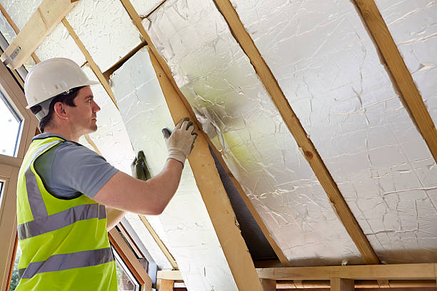 Professional Insulation Contractor in Keaau, HI